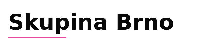 Skupina Brno logo